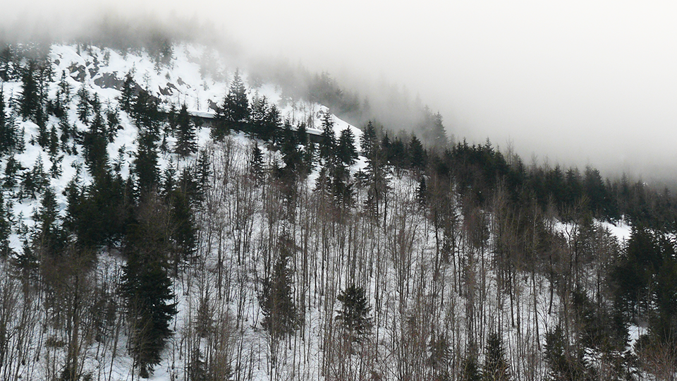 Scenic, WA (BNSF)